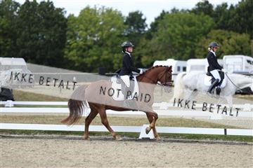181894_mtp_05_R62_4697.JPG