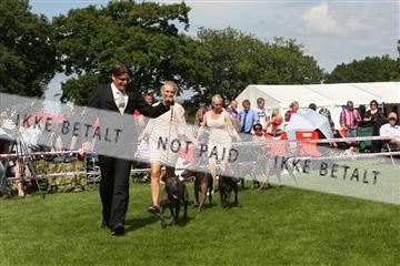 130370_se_03_IMG_7597.JPG