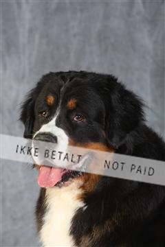 130054_le_ 03_0309.JPG