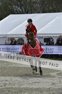 139644_abo_05__AB19977.JPG