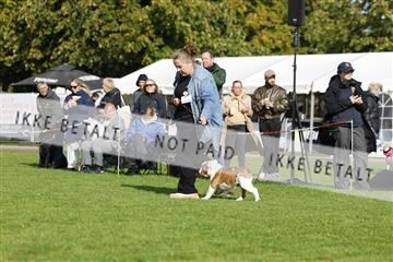 182009_rin_01__62_6800.JPG