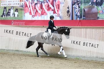 181887_mtp_04_R62_9005.JPG