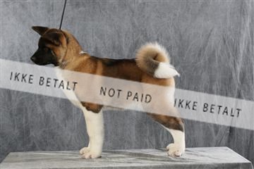 128239_le_ 06_0039.JPG