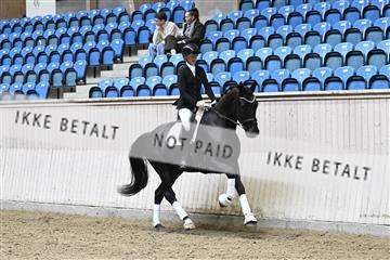182241_kbb_01_Z095062.JPG