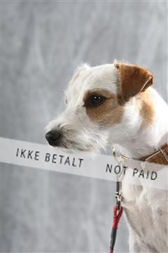 129608_le_ 02_0048.JPG