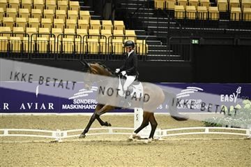 182194_kbb_01_Z095633.JPG