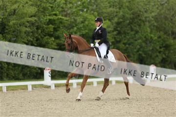 139835_sg_01_IMG_8081.JPG