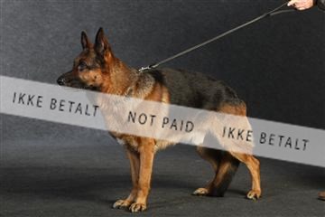 132082_le_ 01_IMG_0926.JPG