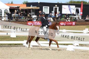 181894_mtp_05_R62_4451.JPG