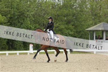 139835_sg_01_IMG_8284.JPG