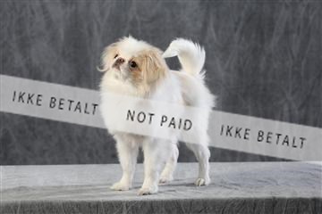 128239_le_kort_ 01_0107.JPG