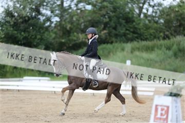 156196_nn_01_IMG_5982.JPG