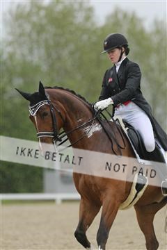 139835_sg_02_IMG_8842.JPG