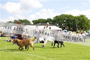 181564_kar_01__62_6824.JPG