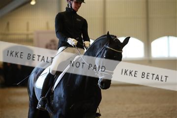 139266_kl_1_8M1Q7385.JPG