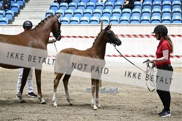181754_kbb_01_Z093677.JPG