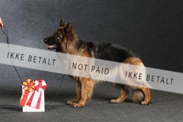 132082_le_ 01_IMG_1613.JPG