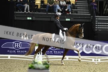 182194_kbb_03_Z092000.JPG