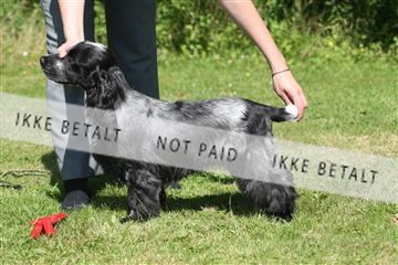 130370_se_03_IMG_7241.JPG