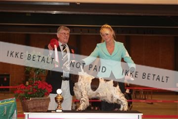 124188 _tl_02_IMG_9342.JPG