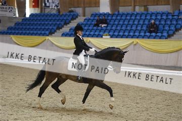 139403_ms_01__MS18067.JPG