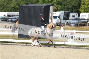 181894_mtp_05_R62_4071.JPG