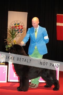 126827_tl_02_IMG_3162.JPG