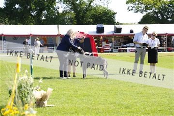 181564_kar_01__62_8333.JPG