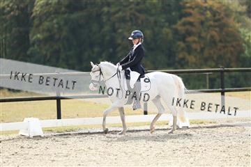 181894_mtp_05_R62_4387.JPG
