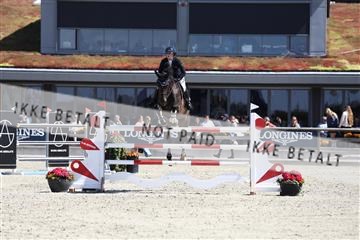 181436_avh_02_4013.JPG