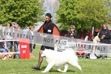 134871_ms_04_IMG_0755.JPG