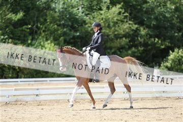 156196_nn_01_IMG_6236.JPG