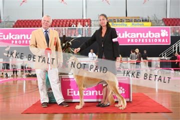 6068_ma_07_IMG_7143.JPG
