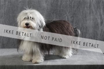 129608_le_ 01_0335.JPG