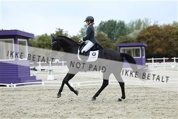 181923_mtp_01_R62_6977.JPG