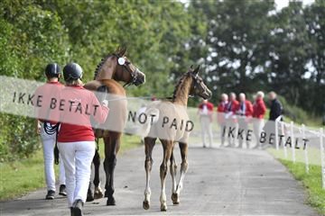 156435_kuo_01__D057322.JPG