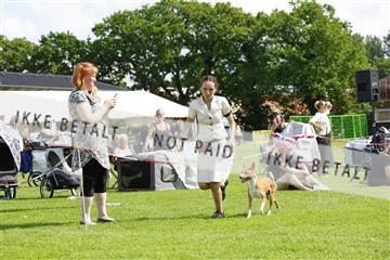 181564_kar_01__62_6947.JPG