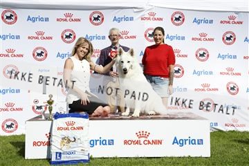 181564_ch_01__62_0013.JPG