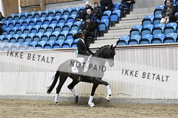 182241_kbb_01_Z094174.JPG