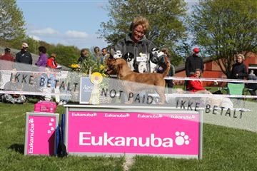 134871_ms_01_IMG_3941.JPG