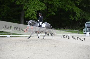 139898_ms_01__MS28289.JPG