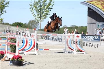 181436_avh_03_4868.JPG