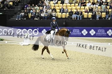 182194_kbb_02_Z099203.JPG