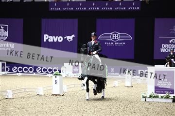 182194_avh_05_3061.JPG