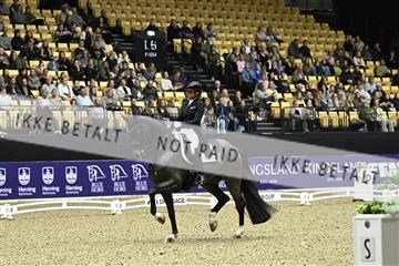 182194_kbb_03_Z091568.JPG
