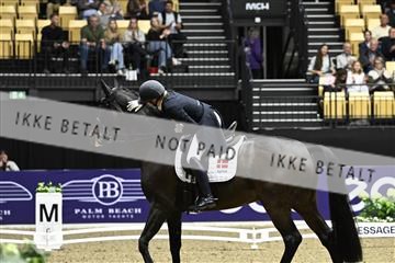 182194_kbb_03_Z092242.JPG