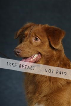 132082_le_ 01_IMG_0894.JPG