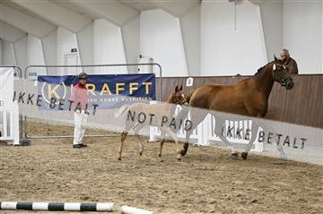 181739_kbb_01_Z092087.JPG