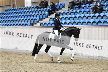 182241_kbb_01_Z093608.JPG