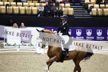 182194_avh_05_2918.JPG